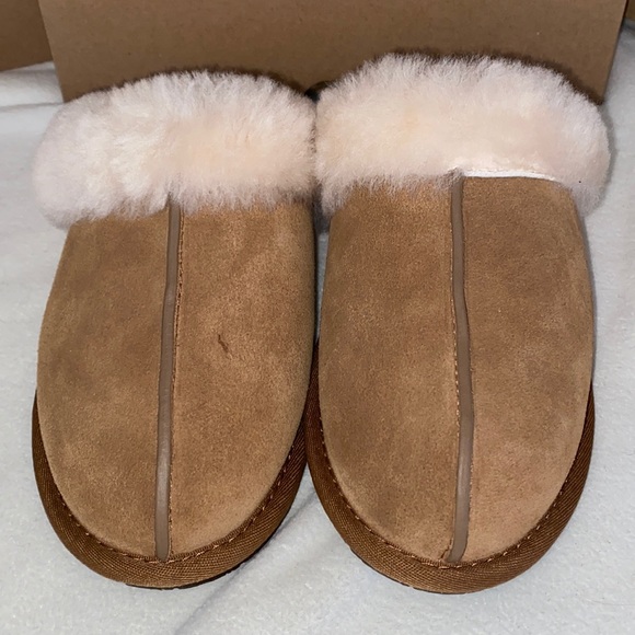 UGG Shoes - UGg Scuffette